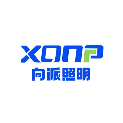 向派照明