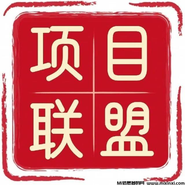 项目联盟