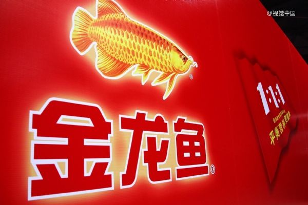 创下了创业板的最高IPO融资纪录，金龙鱼实力几何？
