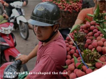 新冠疫情如何 “洗牌”我们的食物供应链