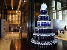 从肌肤的深处开始实现集中的净化之雪肌精加盟费用详情