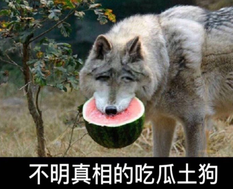 谁拼夕夕了自己的生活，五菱宏光MINIEV又满足了谁的需求