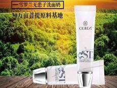 令更多女人美丽的雪罗兰加盟费用介绍