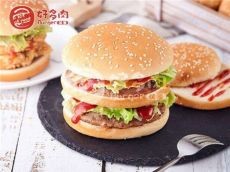 好多肉市场上销售非常火热 小本赚钱必选
