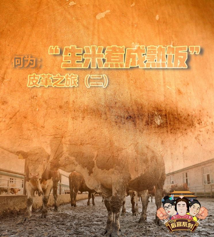 皮革之旅(二）何为“生皮制成熟革”