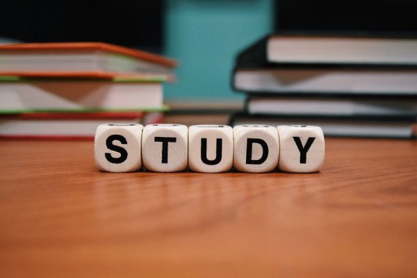 当大学老师占领视频平台