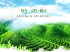 开一家龙峡茶业需要多少钱 企业实力强大吗