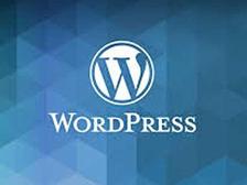 外贸建站基础课程—wordpress