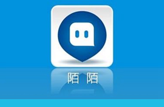 陌陌原总裁兼COO王力出任公司新任CEO