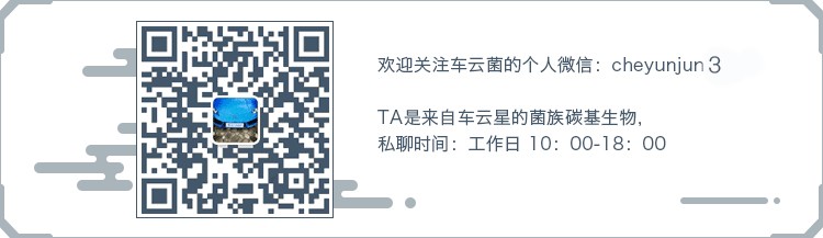 数字化科技加码！视频详解一汽-大众全新数字高尔夫