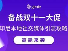 11.11大促跨境店铺如何引流？印尼本地社交媒体营销实用指南！