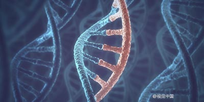 首发|瑞科生物获超1亿美元B轮融资，10余家VC/PE投资