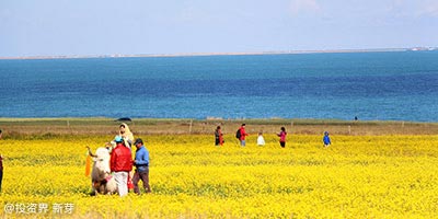 农业产业互联网的新战争：腾讯、阿里、拼多多的巨头混战