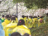 沙尘回流影响“江浙沪”!今天上午有明显降雨