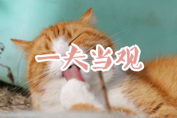 深度解码宠物经济：吸猫撸狗背后，正在崛起的千亿级生意