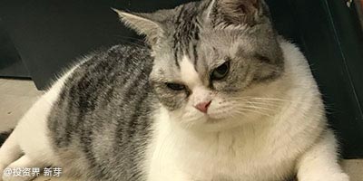 创立十年，美团的焦虑还在吗？