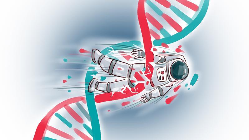 让讨厌的DNA“闭嘴”