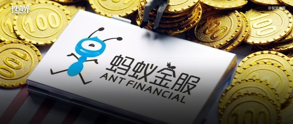 蚂蚁回到地面