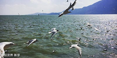我从大厂出来卖保险