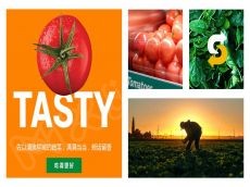 赛百味味道选择数不胜数 受众范围广