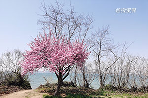 字节跳动副总裁：A/B测试好用但非万能，抖音得名排第二