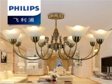 PHILIPS飞利浦品质合格 上市销售 好评不断