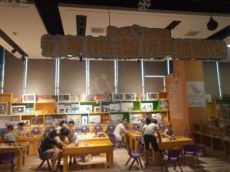 菠萝树开发孩子的智力 游玩中学习知识