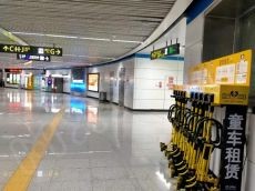 熊猫遛娃市场前景广阔 为更多人开启赚钱之门
