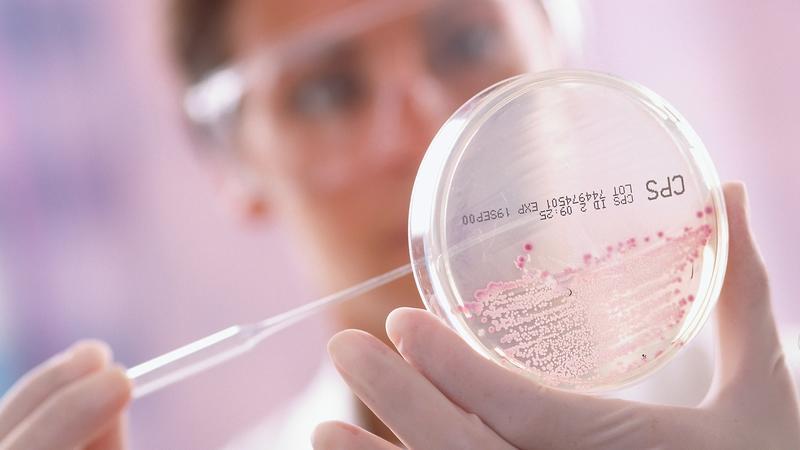 自然主义的生物科技公司正在改进世界