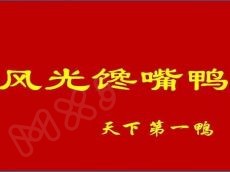 风光馋嘴鸭发展前景不可估量 带领众多创业者成功致富