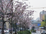 杭州一批公园(景区)、道路、河道、高架获评“最佳”!