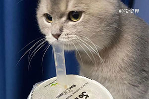 宠物食品品牌「帕特」完成A轮、A+轮亿级融资 ，A轮由经纬中国独家投资