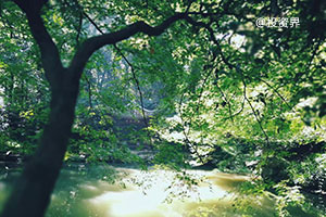 城发基金再添产业投资新基金