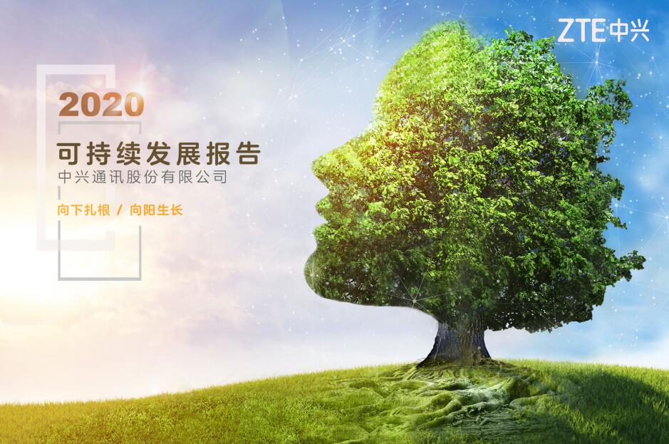中兴2020可持续发展报告：与全球共享数字经济红利 为社会创造可持续价值