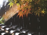 今年以来最强降雨来了 杭州启动Ⅳ级防汛应急响应