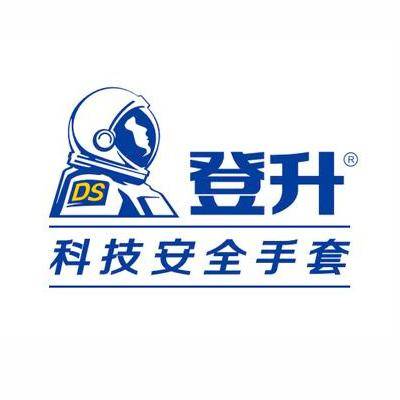 登升项目简介_加盟费多少钱