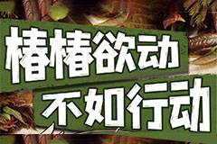 吉祥馄饨限期优惠，现在实现香椿自由的机会来了