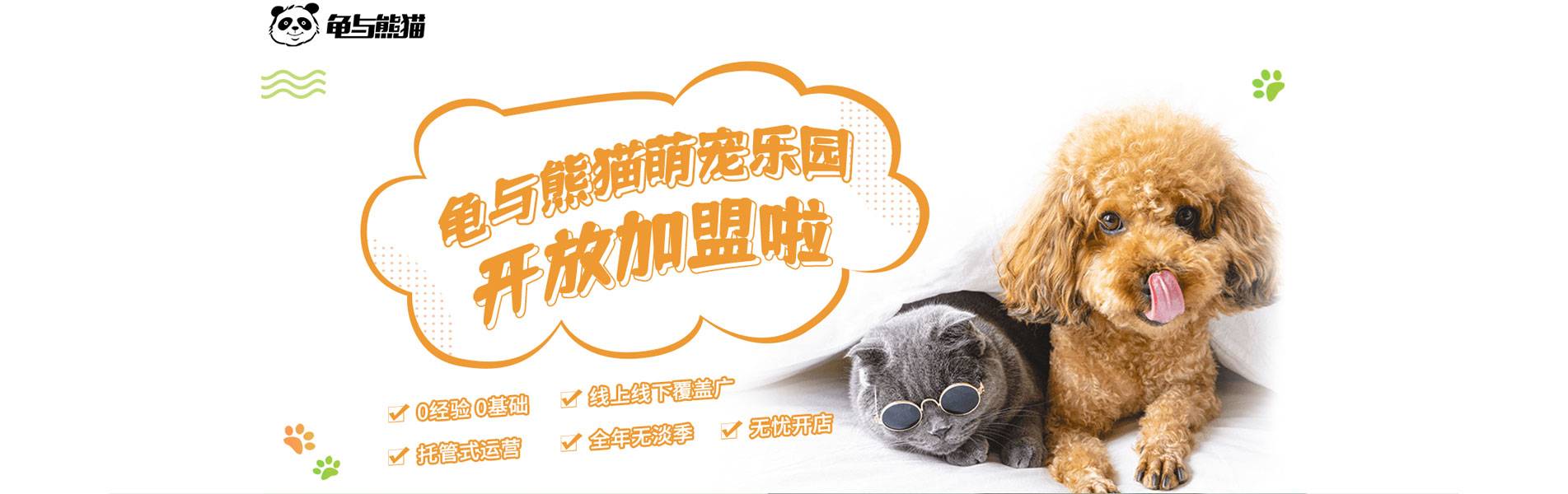 banner图