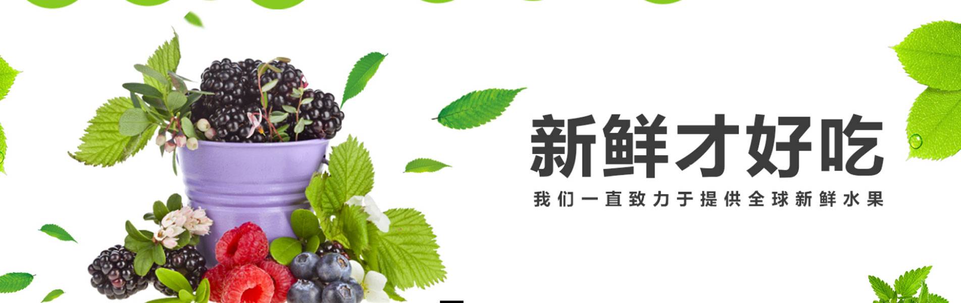 banner图