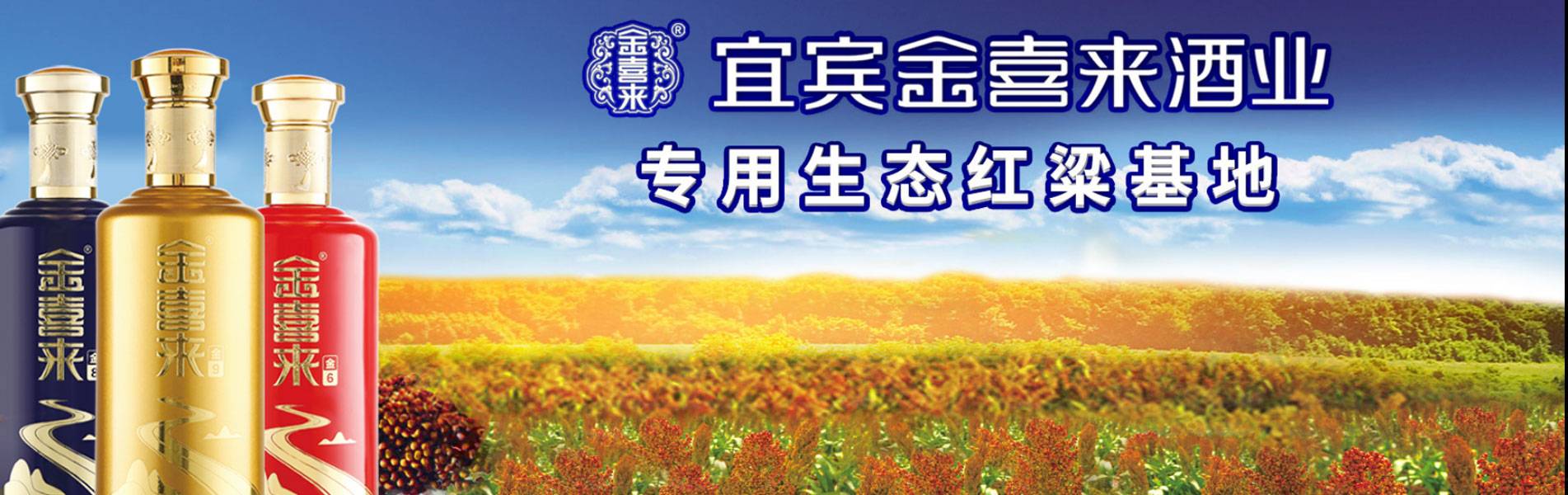 banner图