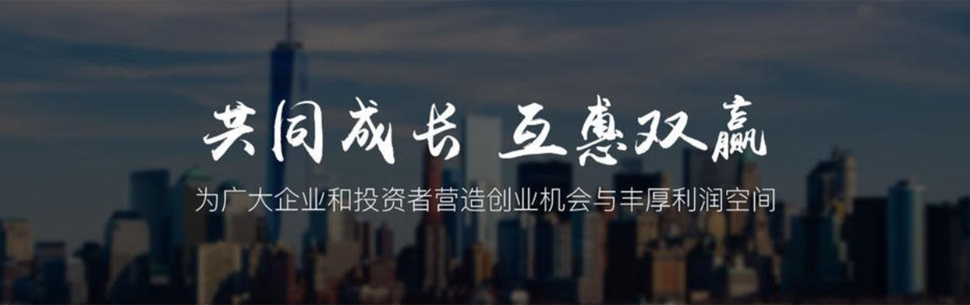 banner图