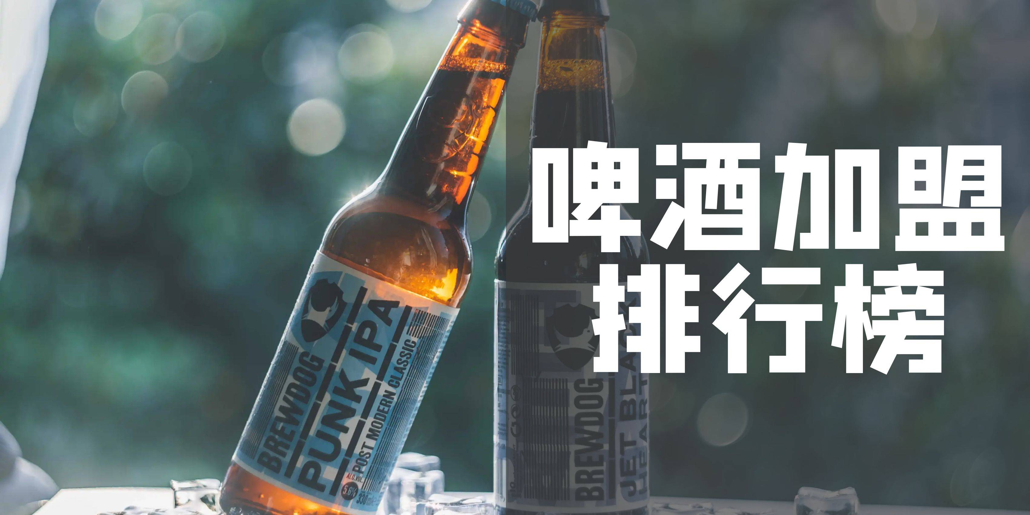 2023年啤酒加盟排行榜，你对哪一个感兴趣呢？