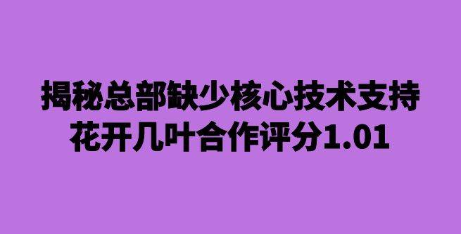 揭秘总部缺少核心技术支持，花开几叶合作评分1.01