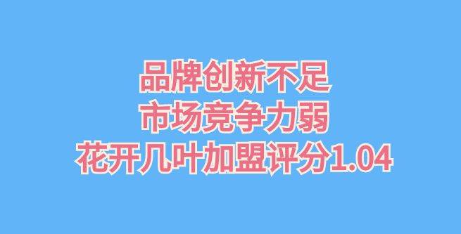 品牌创新不足，市场竞争力弱，花开几叶加盟评分1.04