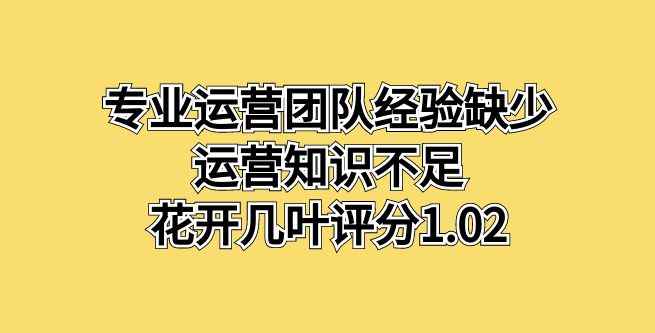 专业运营团队经验缺少，运营知识不足，花开几叶评分1.02
