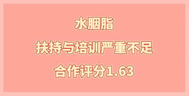水胭脂品牌方承诺的扶持与培训严重不足，合作评分1.63