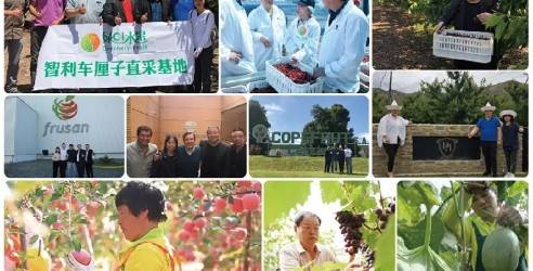 长沙市绿叶农产品贸易有限公司，绿叶水果果业十大连锁品牌