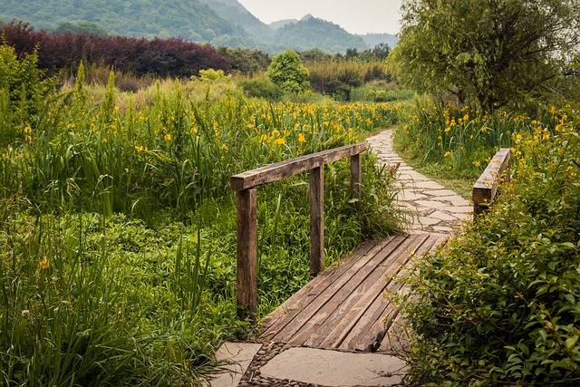 梦歌月