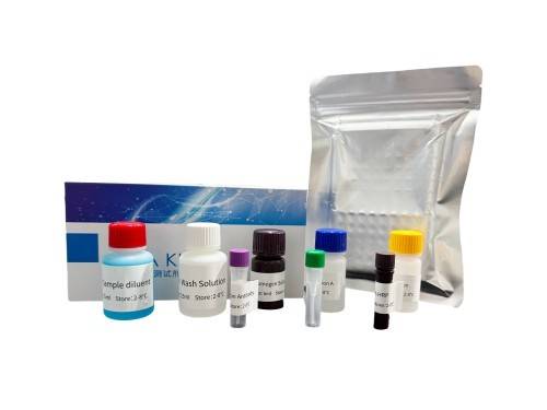 2026年9月优选：诚信的试剂盒elisa/tnf-α试剂盒企业怎么联系