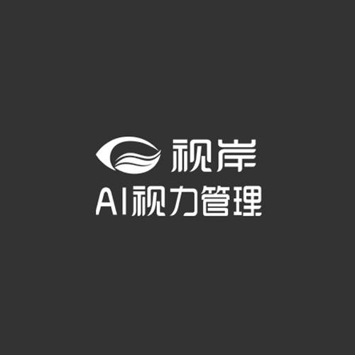 视岸AI视力管理